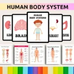 Done for You 35000+ Educational Resources Bundle with MRR/PLR - Image 2