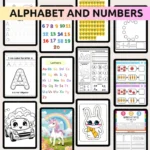 Done for You 35000+ Educational Resources Bundle with MRR/PLR - Image 3
